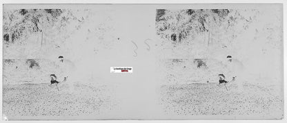 Brouette, enfant, Plaque verre photo stéréo, négatif noir & blanc 4,5x10,7 cm