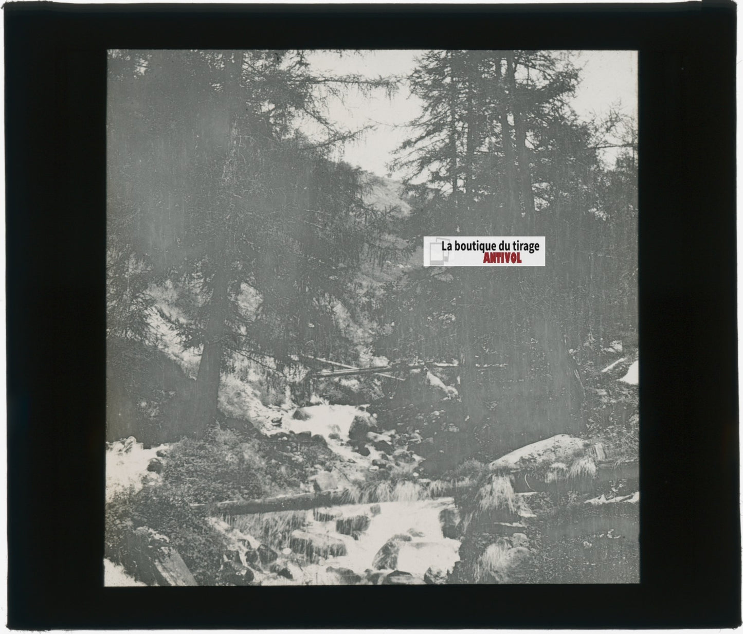 Montagne, paysage Suisse, photo plaque verre, noir & blanc, positif 8,5x10 cm