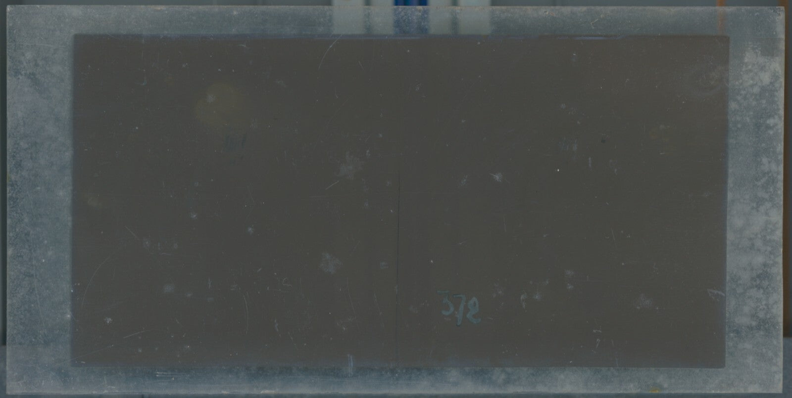 Hippodrome de Longchamp, Paris, stéréoscopie plaque verre, positif 8,5x17 cm