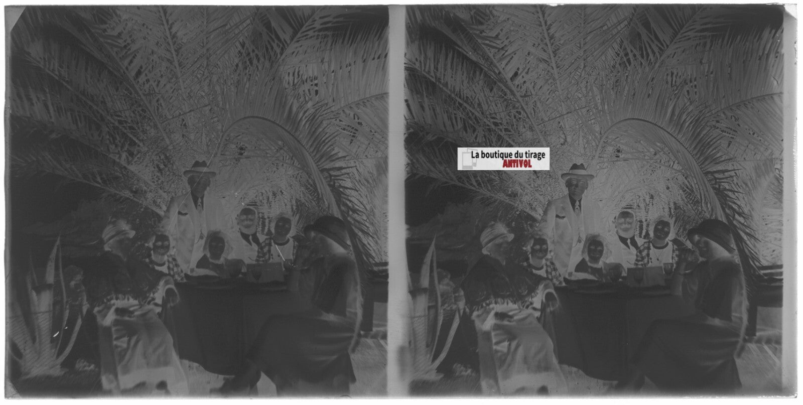 Famille, mer, palmier, stéréoscopie plaque ancienne verre, négatif 9x18 cm