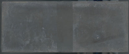 Cortège Bruges, Belgique, Plaque verre stéréo, négatif noir & blanc 4,5x10,7 cm
