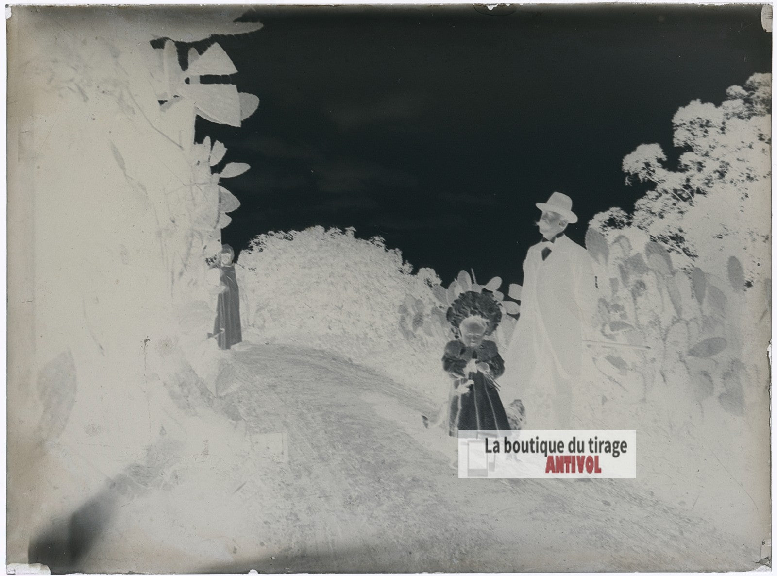 Promenade familiale, Afrique, plaque verre photo ancienne, négatif 9x12 cm