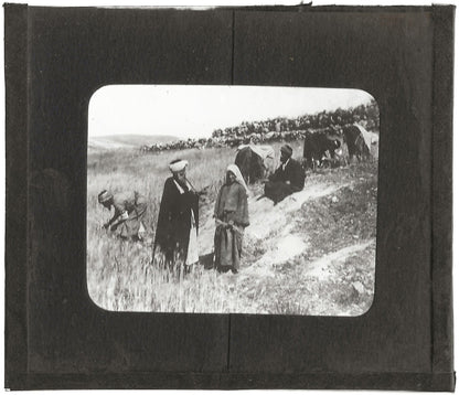 Champ de Booz, histoire, photo ancienne plaque de verre, positif 8,5x10 cm