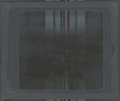 Paysage, mules, nature, photo ancienne plaque de verre, positif 8,5x10 cm