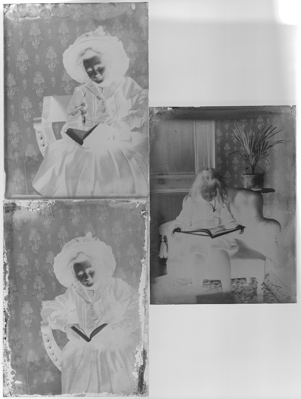 Belgique, famille, enfants, photo plaque verre, lot de 19 négatifs 9x12 cm