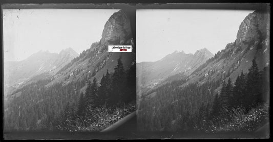 Montagne, nature, Plaque verre photo, stéréo négatif noir & blanc 9x18 cm