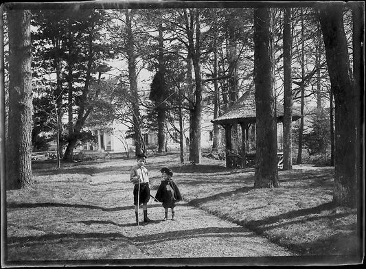 Plaque verre photo ancienne négatif noir et blanc 6x9 cm enfant parc bois  