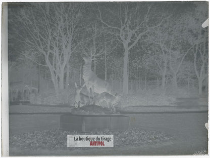 Jardin du Luxembourg, Paris, plaque verre, photo ancienne, négatif 9x12 cm