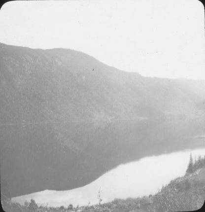 Paysage, Norvège ou Suéde, photo ancienne plaque de verre, positif 8,5x10 cm
