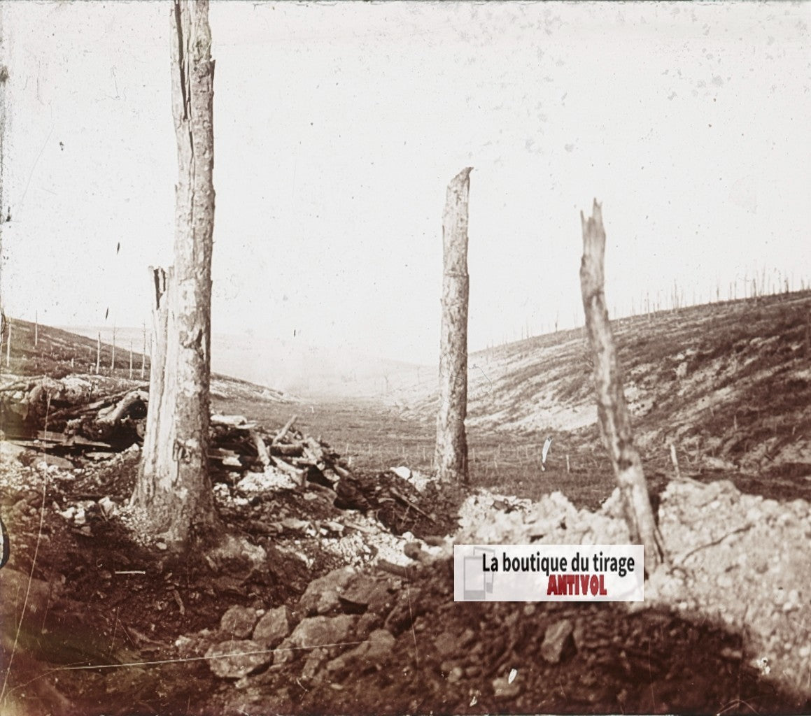 Bezonvaux, Fond des Rousses, plaque verre stéréo, photo ancienne 4,5x10,7 cm