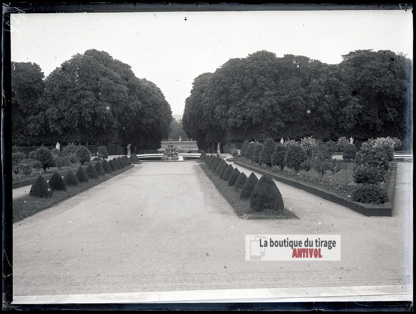 Allée des jardins de Versailles, plaque verre photo ancienne, négatif 9x12 cm
