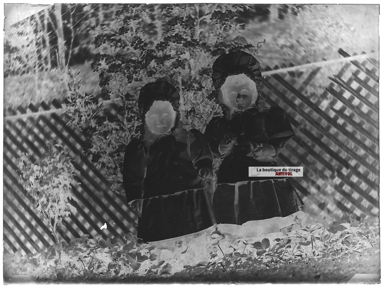 Plaque verre photo ancienne négatif noir et blanc 9x12 cm petites filles jardin