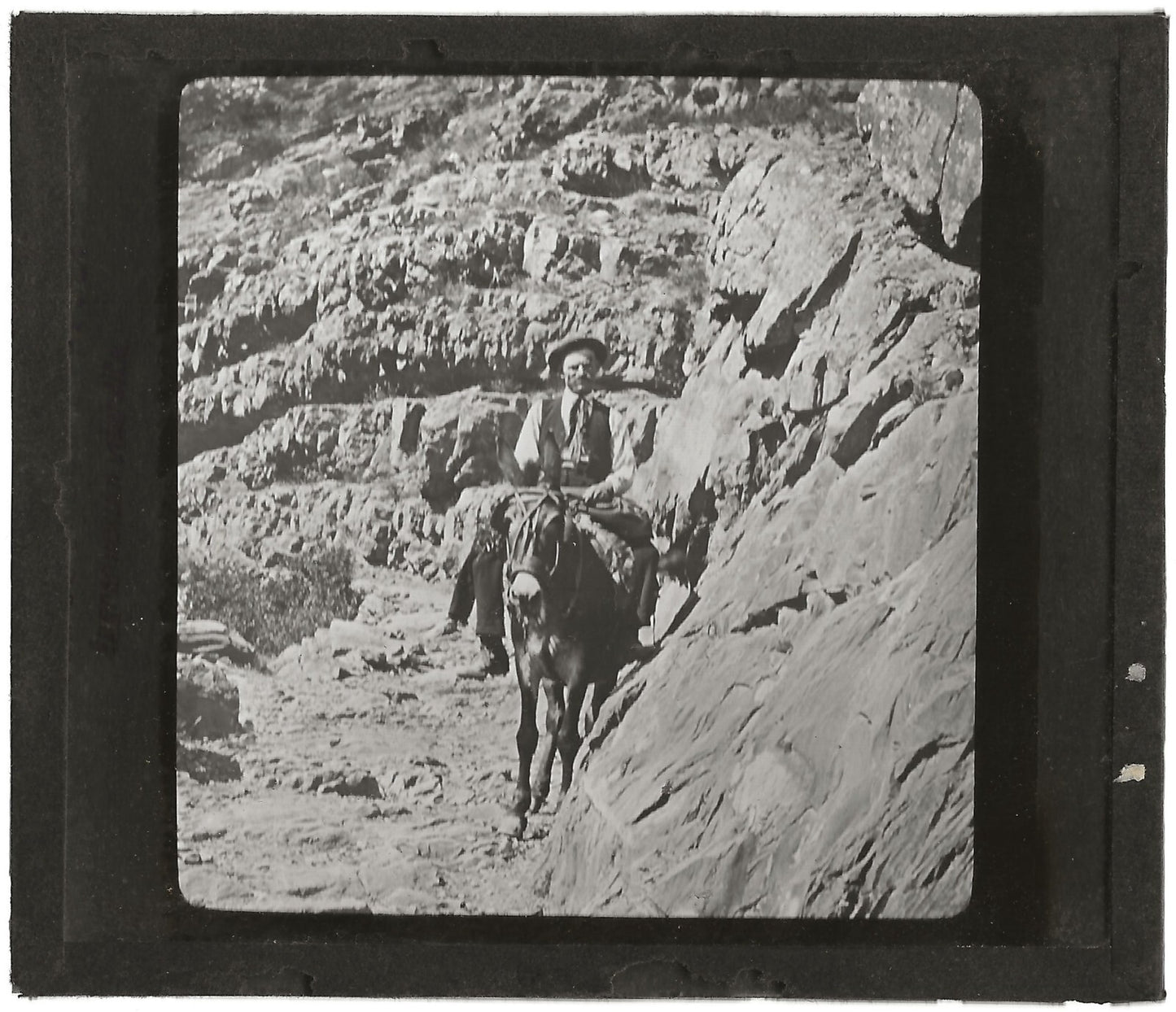Grenoble à la Salette, muletier, photo plaque de verre, positif 8,5x10 cm