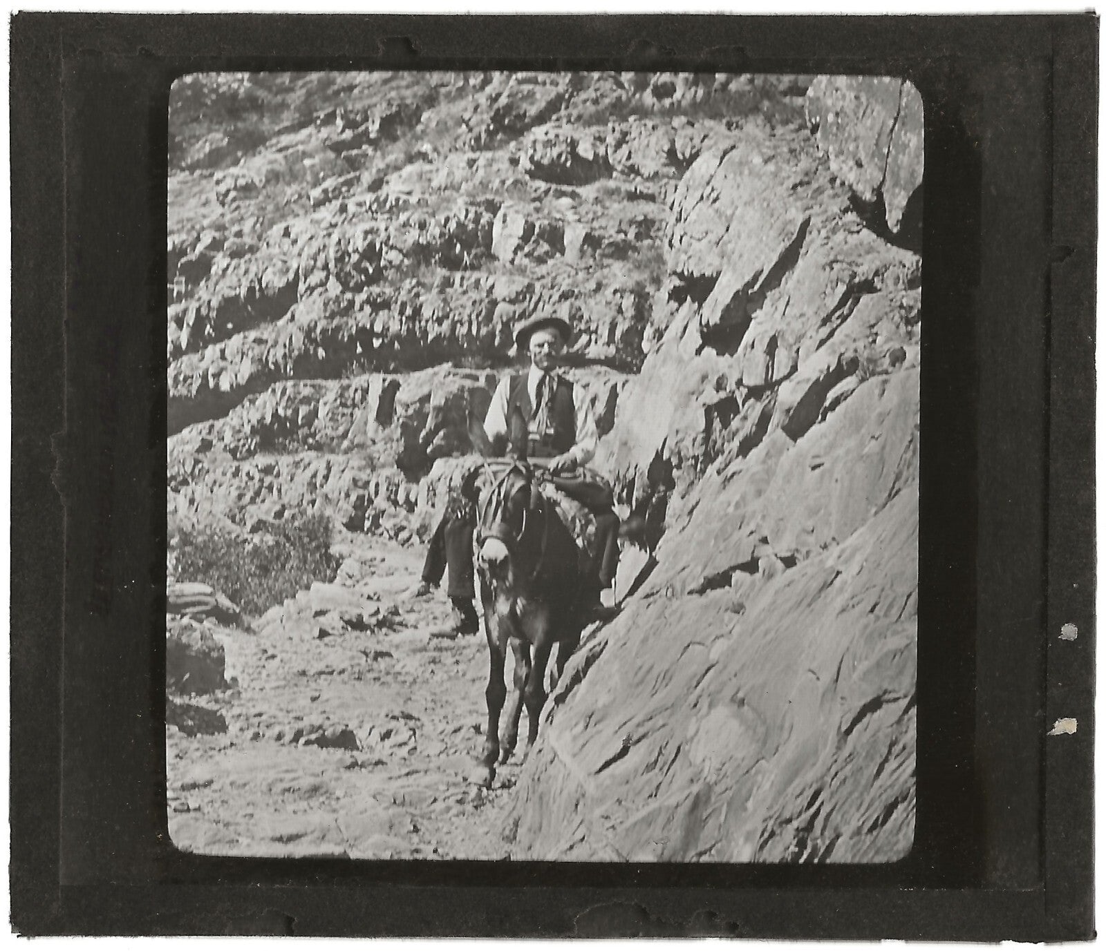 Grenoble à la Salette, muletier, photo plaque de verre, positif 8,5x10 cm
