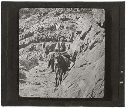Grenoble à la Salette, muletier, photo plaque de verre, positif 8,5x10 cm