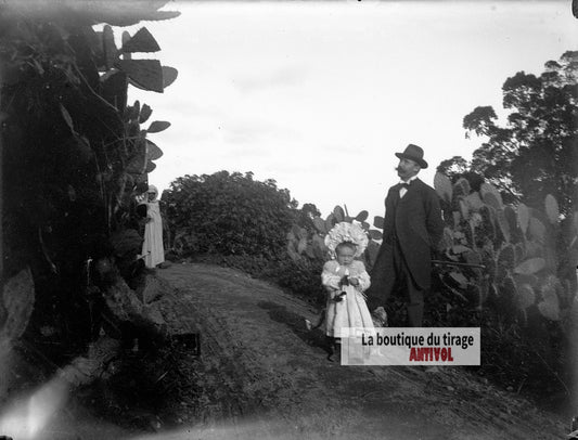 Promenade familiale, Afrique, plaque verre photo ancienne, négatif 9x12 cm