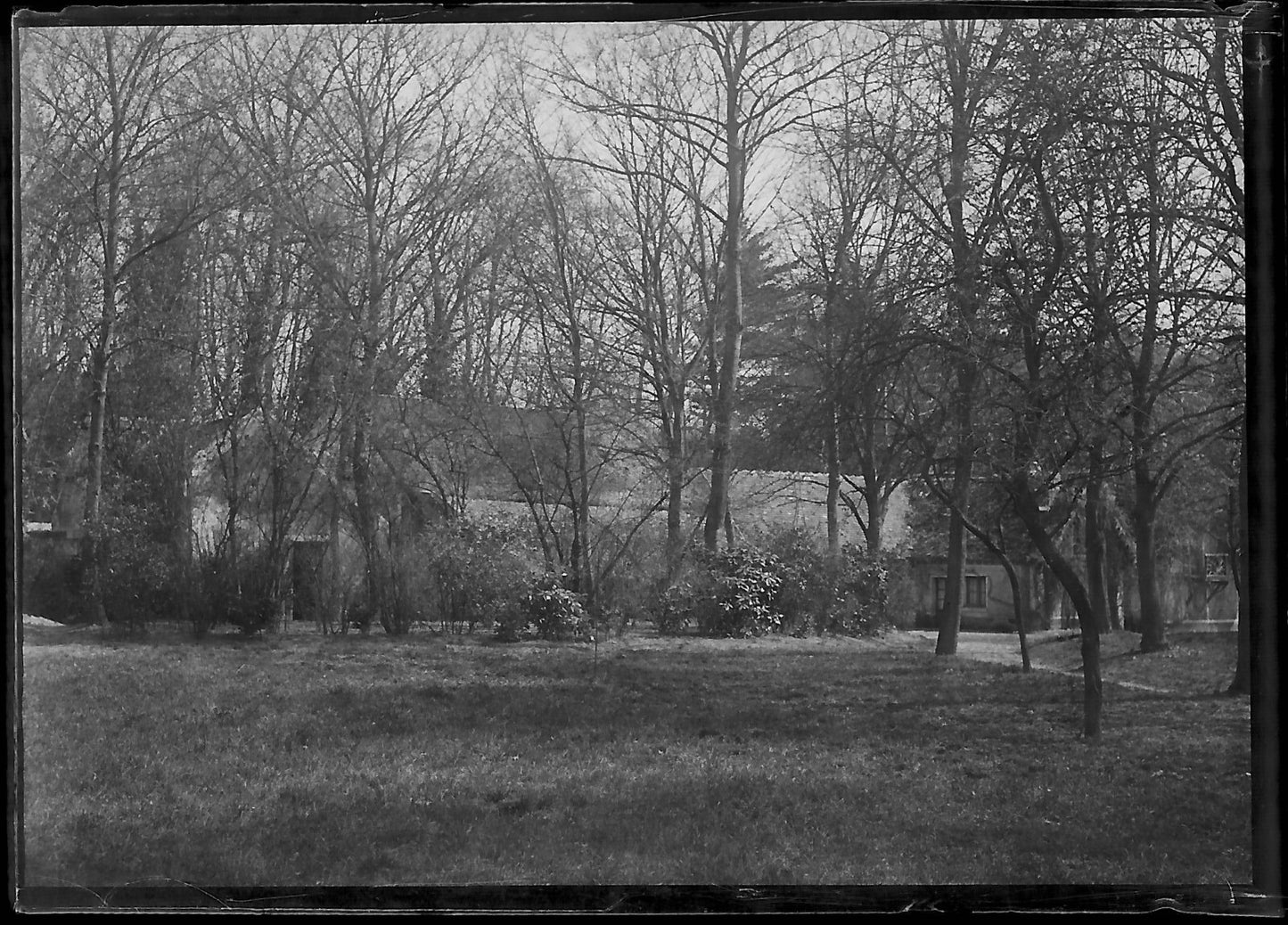 Plaque verre photo ancienne négatif noir et blanc 6x9 cm jardin parc paysage 
