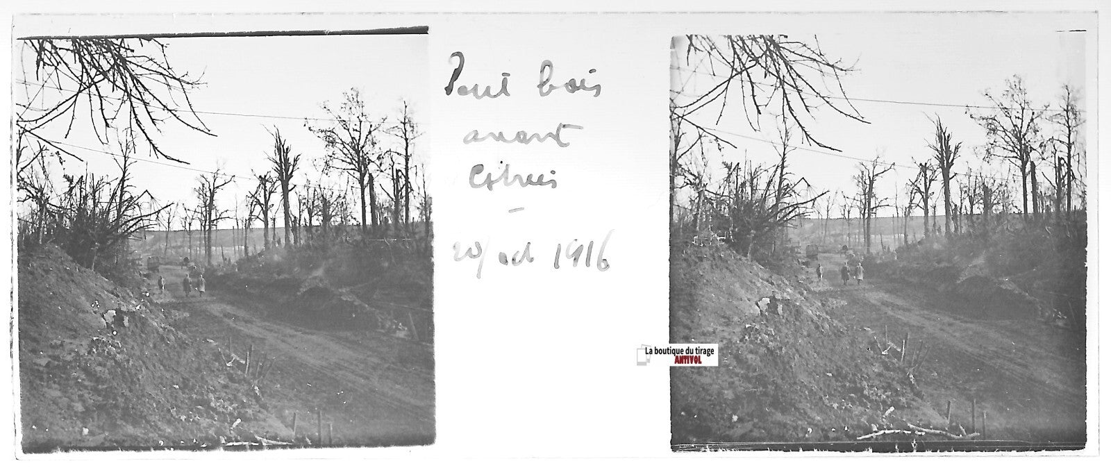 Petit bois Estrées, Plaque verre stéréo positif ancien noir & blanc 4,5x10,7 cm