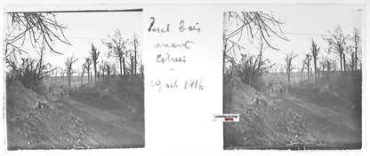 Petit bois Estrées, Plaque verre stéréo positif ancien noir & blanc 4,5x10,7 cm