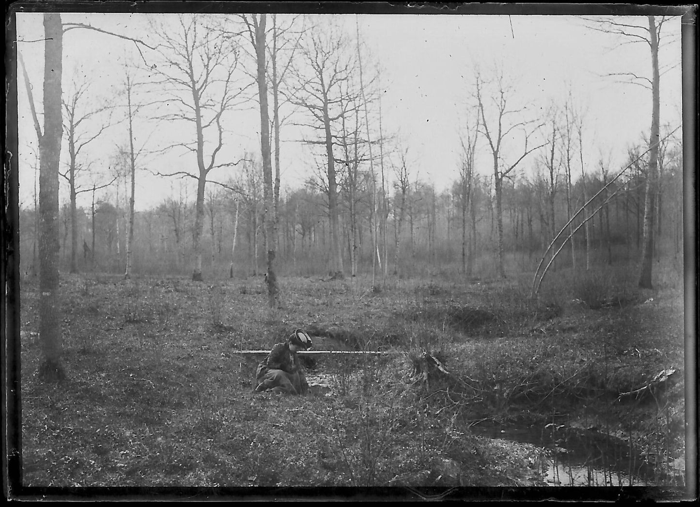 Plaque verre photo ancienne négatif noir et blanc 6x9 cm femme robe forêt France