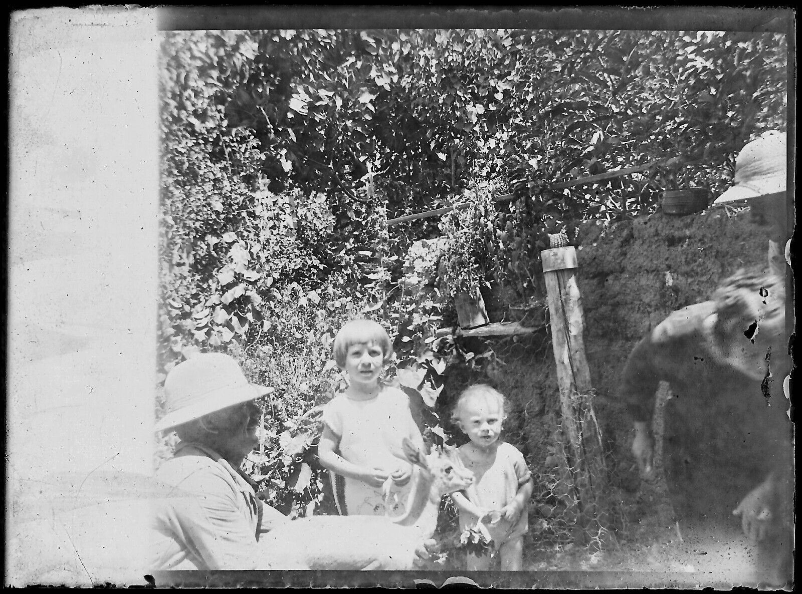 Plaque verre photo ancienne noir et blanc négatif 9x12 cm enfants jardin vintage