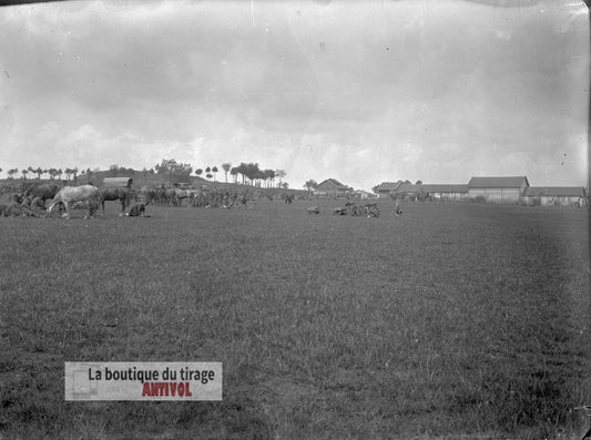 Cavalerie et fantassins, WW1, plaque verre, photo ancienne, négatif 9x12 cm