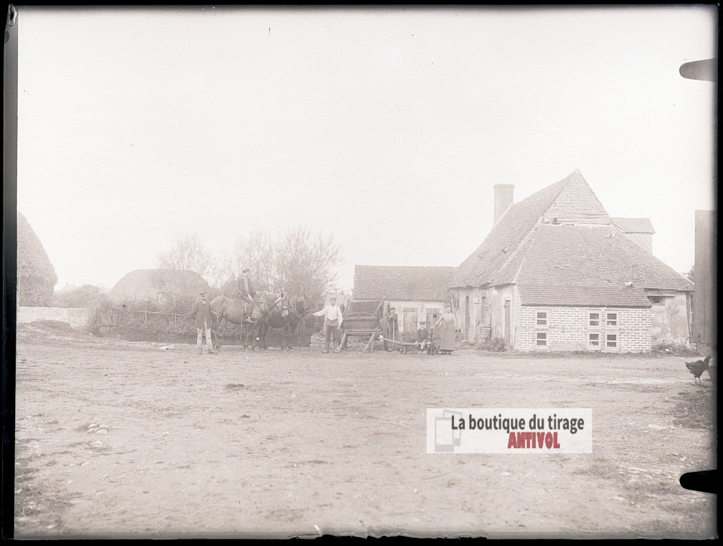 Ferme rurale avec chevaux, plaque verre photo ancienne, négatif 9x12 cm