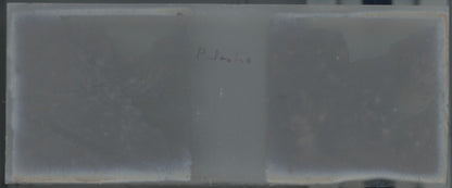 Gorges Palestro Algérie, Plaque verre stéréo, positif noir & blanc 4,5x10,7 cm