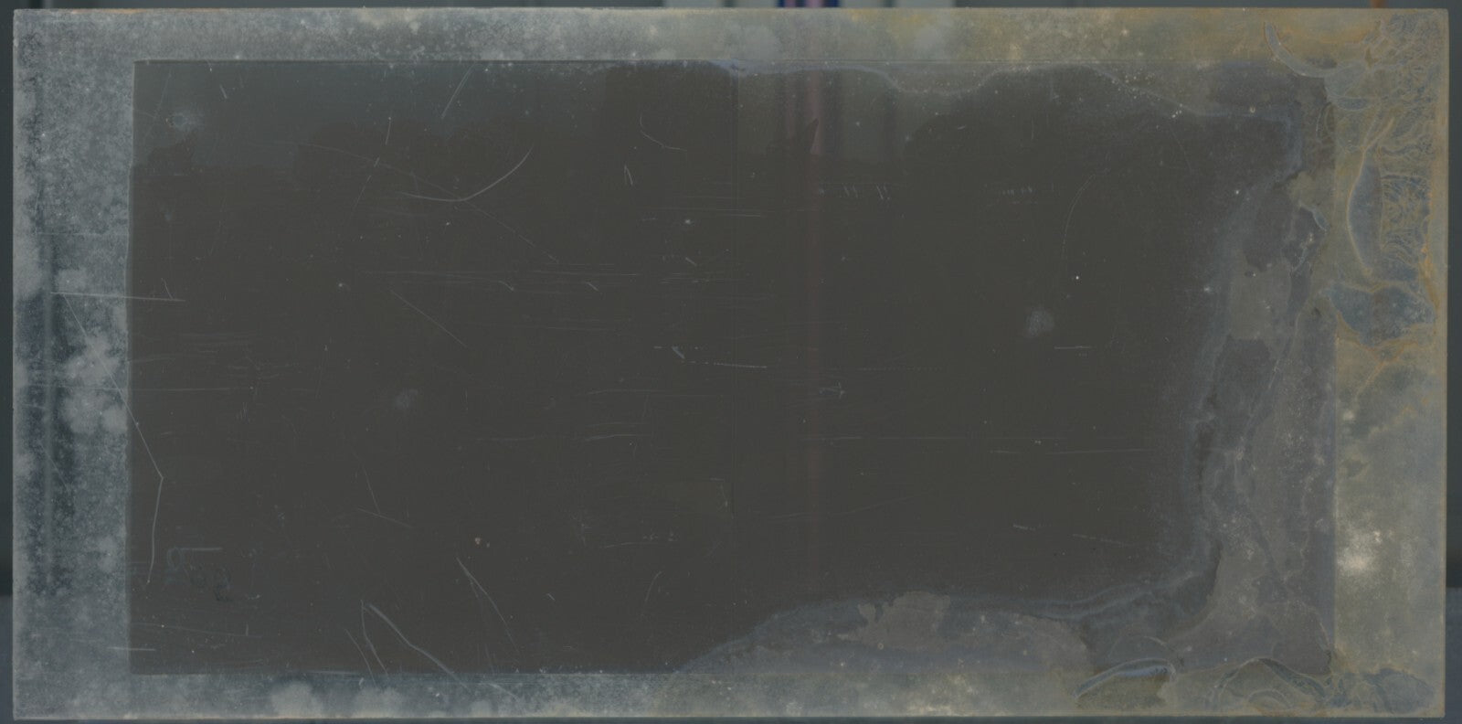 Scène de vie, Longchamp, Paris, plaque verre stéréoscopique, positif 8,5x17 cm