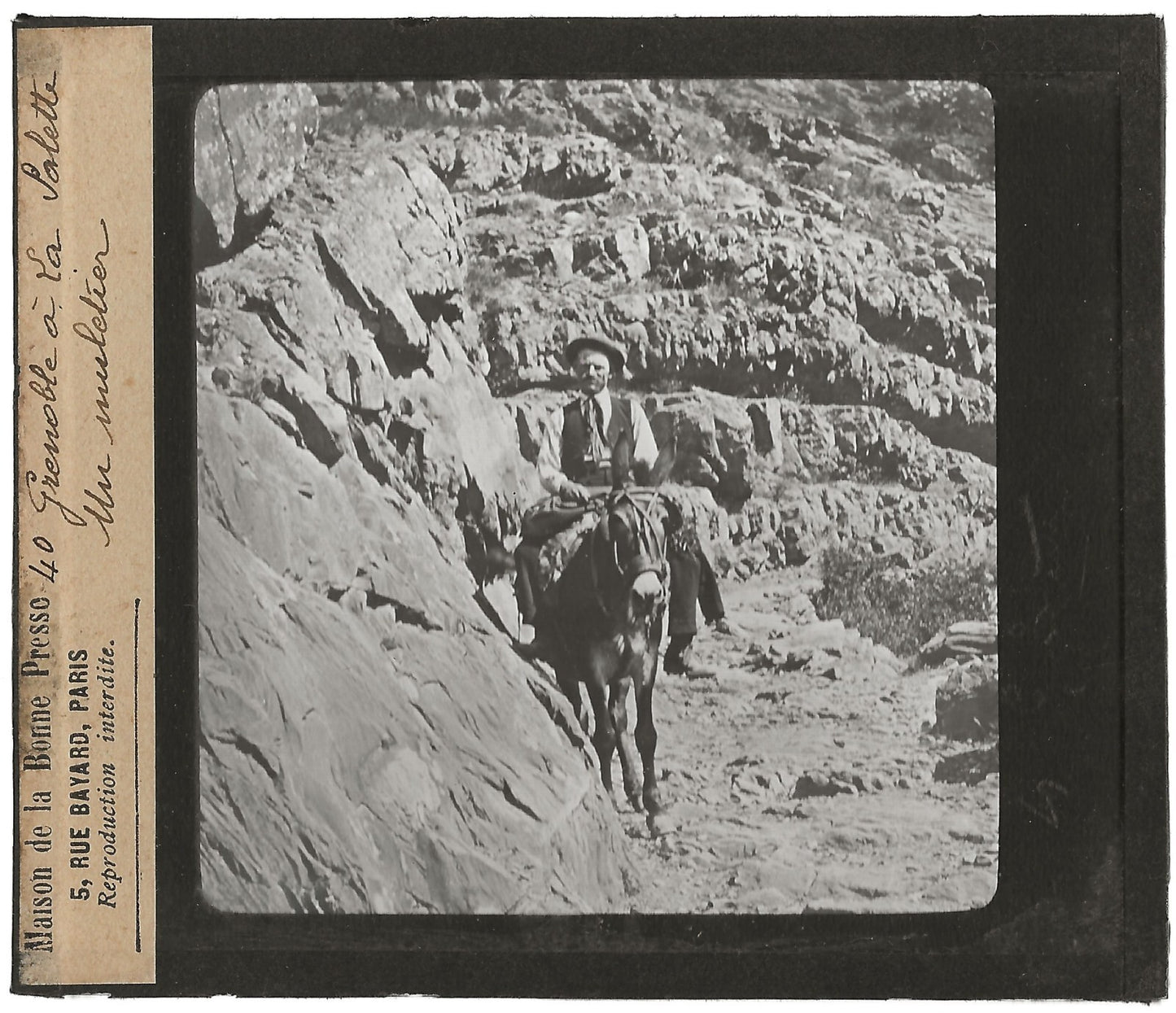 Grenoble à la Salette, muletier, photo plaque de verre, positif 8,5x10 cm