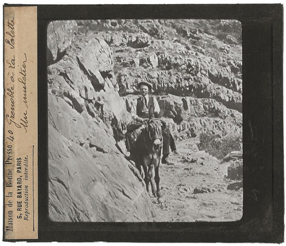 Grenoble à la Salette, muletier, photo plaque de verre, positif 8,5x10 cm