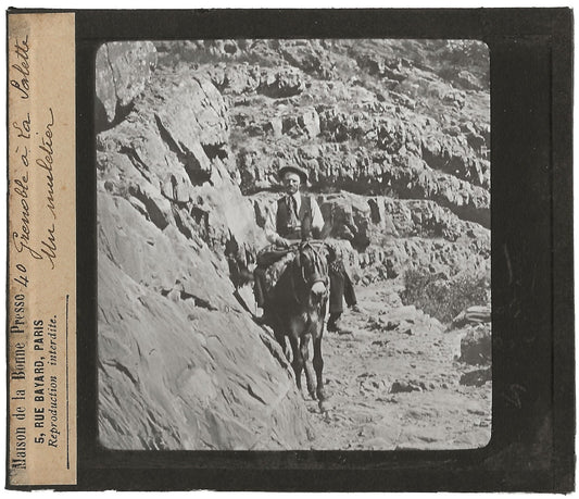 Grenoble à la Salette, muletier, photo plaque de verre, positif 8,5x10 cm