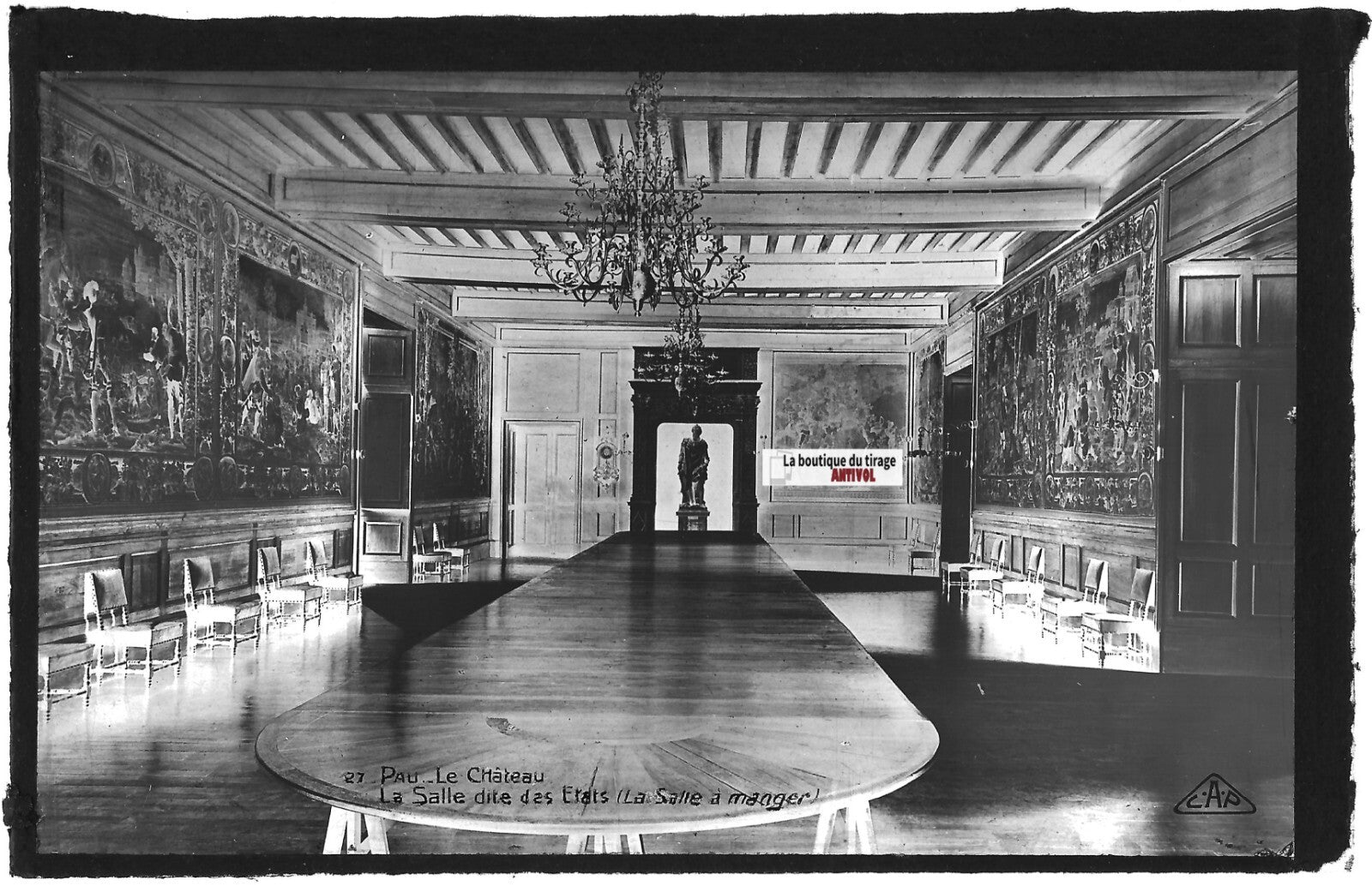 Plaque verre photo négatif noir & blanc 9x14 cm, château de Pau, salle des Etats