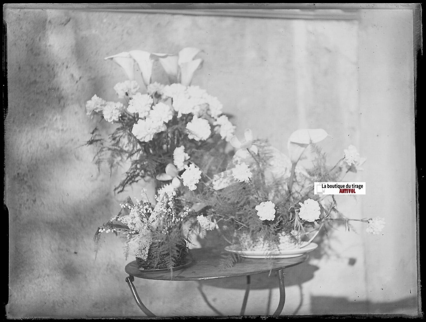 Bouquet de fleurs, Plaque verre photo ancienne, négatif noir & blanc 9x12 cm