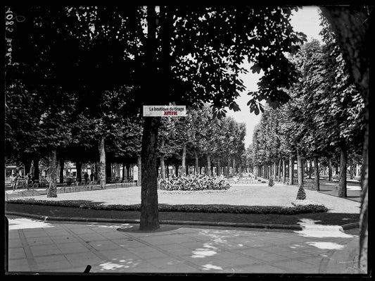 Plaque verre photo ancienne négatif noir et blanc 13x18 cm Vichy parc public