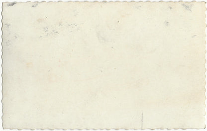 Plaque de verre photo négatif noir et blanc 13x18 cm Annecy pont Amours CPA