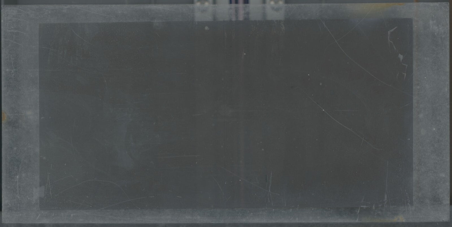 Hippodrome de Longchamp, Paris, plaque verre stéréoscopique, positif 8,5x17 cm