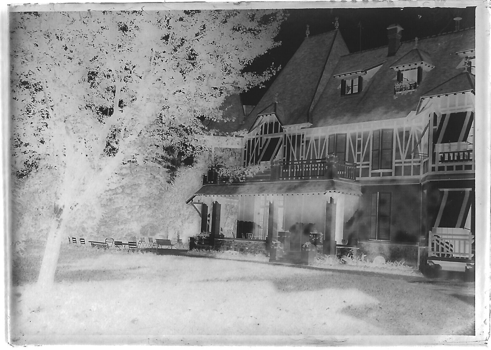 Plaque verre photo ancienne négatif noir et blanc 6x9 cm parc château France