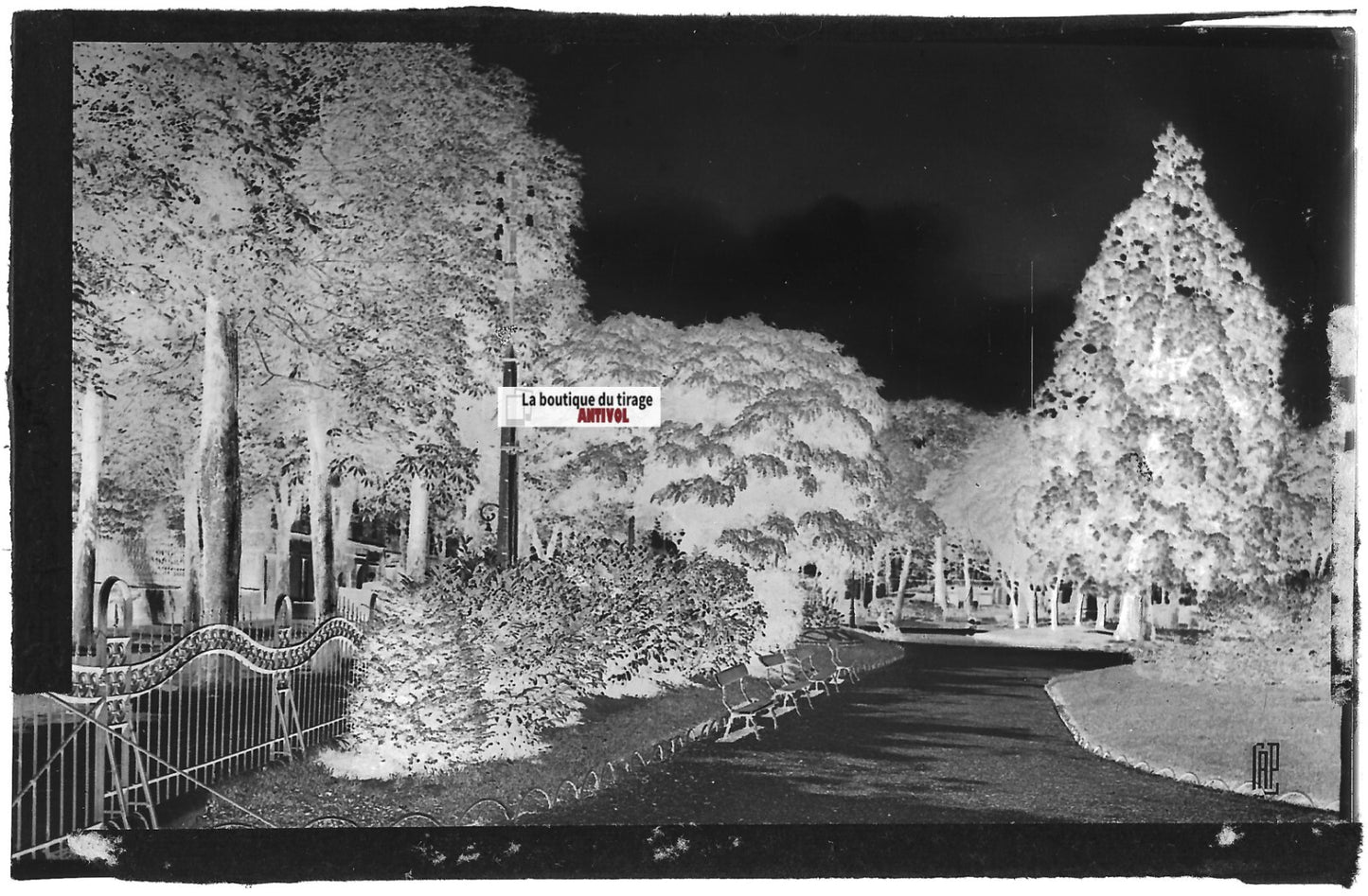 Plaque verre photo négatif noir & blanc 09x14 cm Charleville-Mézières, parc