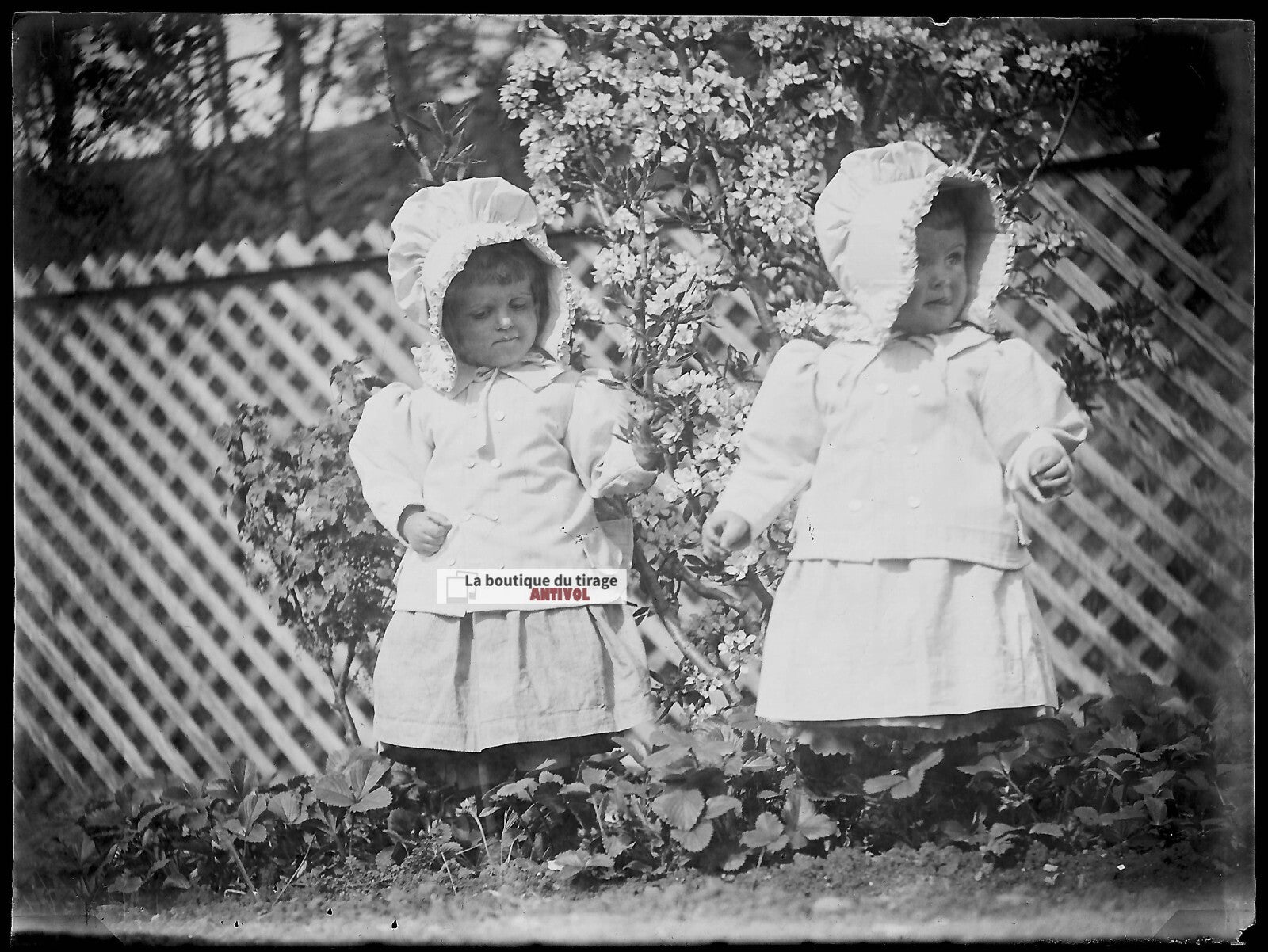 Plaque verre photo ancienne négatif noir et blanc 9x12 cm petites filles jardin