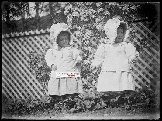 Plaque verre photo ancienne négatif noir et blanc 9x12 cm petites filles jardin