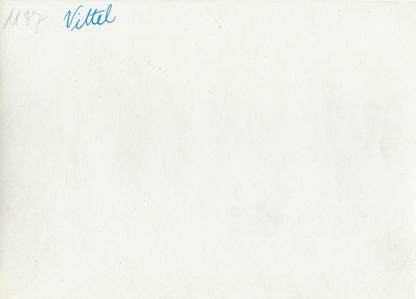 Plaque verre photo ancienne positif noir et blanc 13x18 cm Vittel therme Vosges