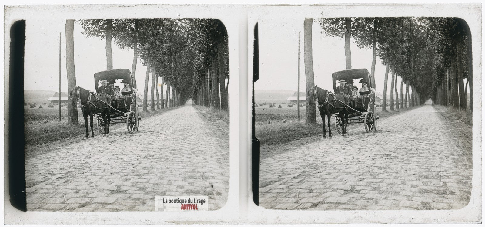 Promenade, voiture hippomobile, plaque verre photo ancienne stéréo 6x13 cm