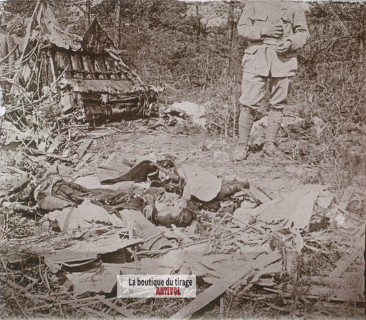 Avion allemand abattu, guerre WW1, plaque verre stéréo, photo 4,5x10,7 cm