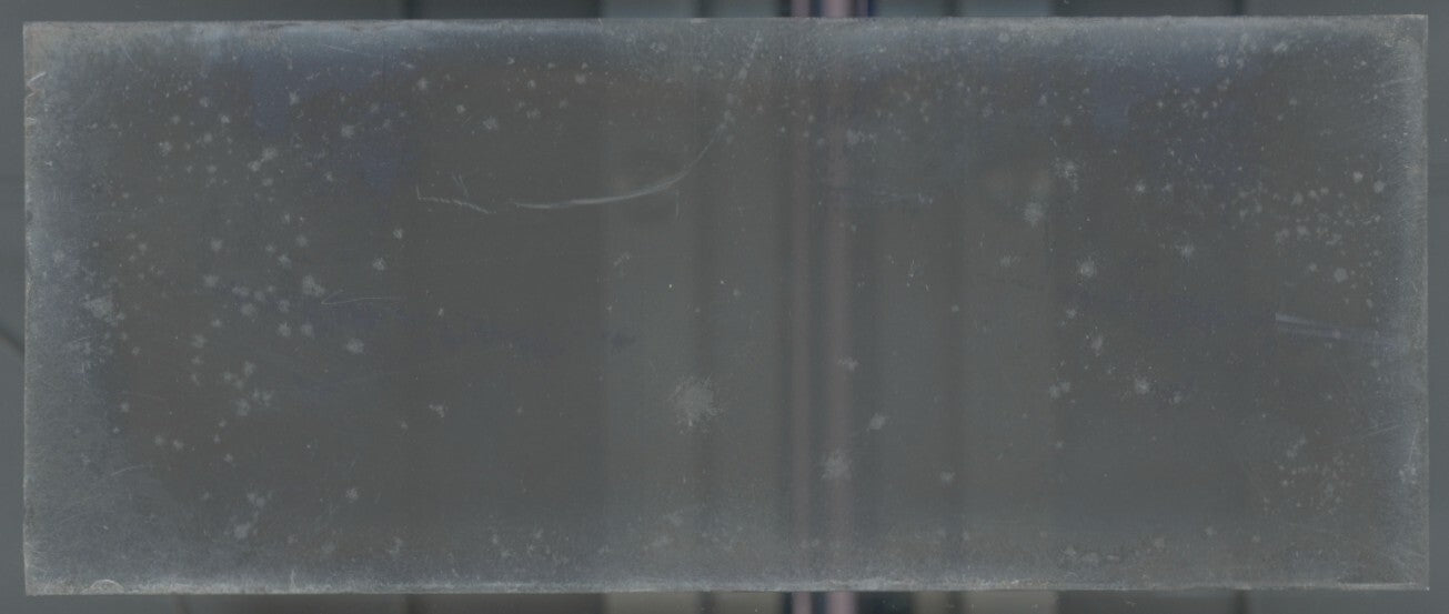 Campagne, poules, Plaque verre stéréoscopie, négatif noir & blanc 4,5x10,7 cm