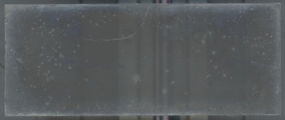 Campagne, poules, Plaque verre stéréoscopie, négatif noir & blanc 4,5x10,7 cm