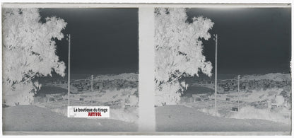Algérie, Alger mer, plaque verre, photo stéréo, négatif N&B 6x13 cm
