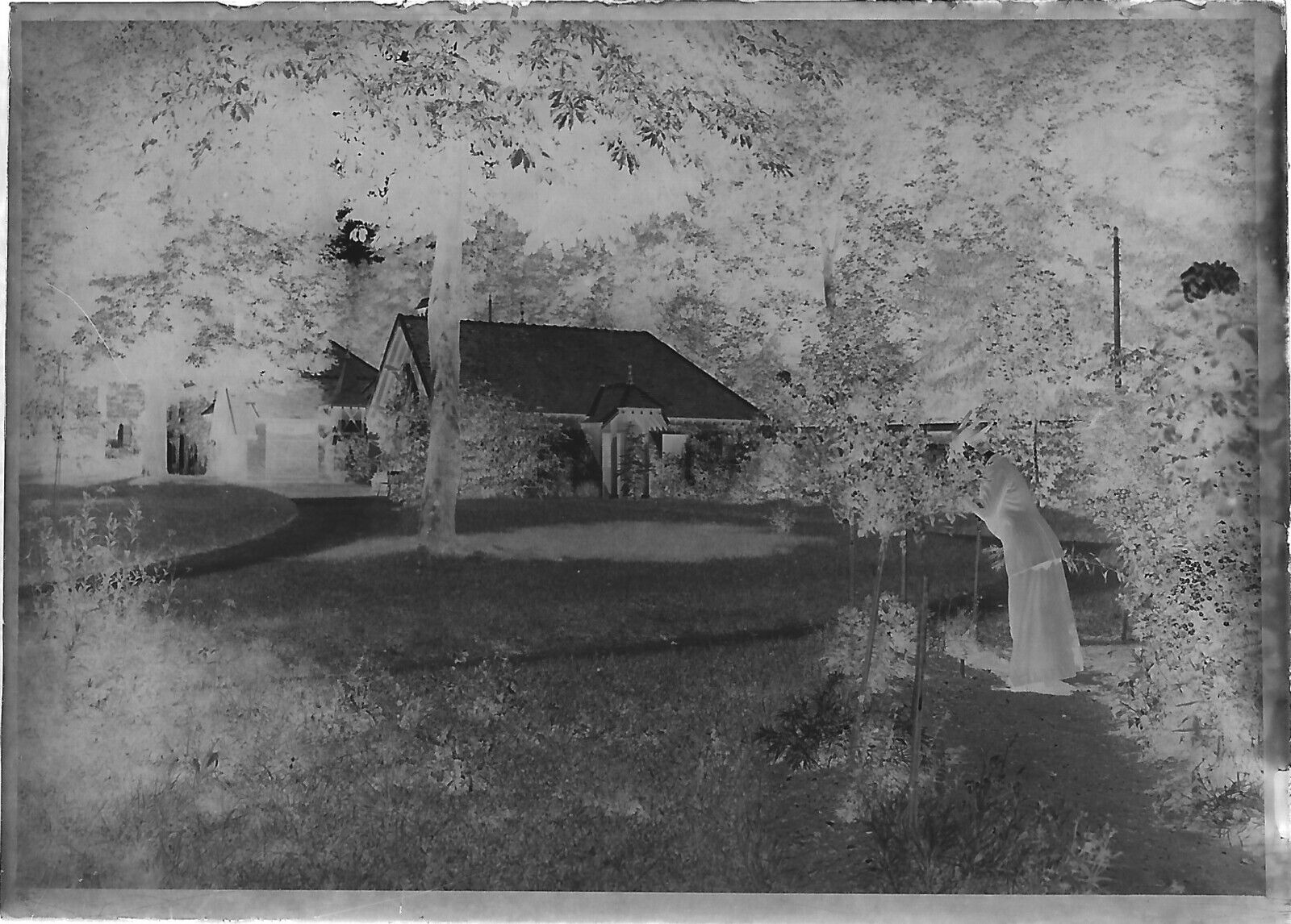 Plaque verre photo négatif noir et blanc 6x9 cm femme jardin château France