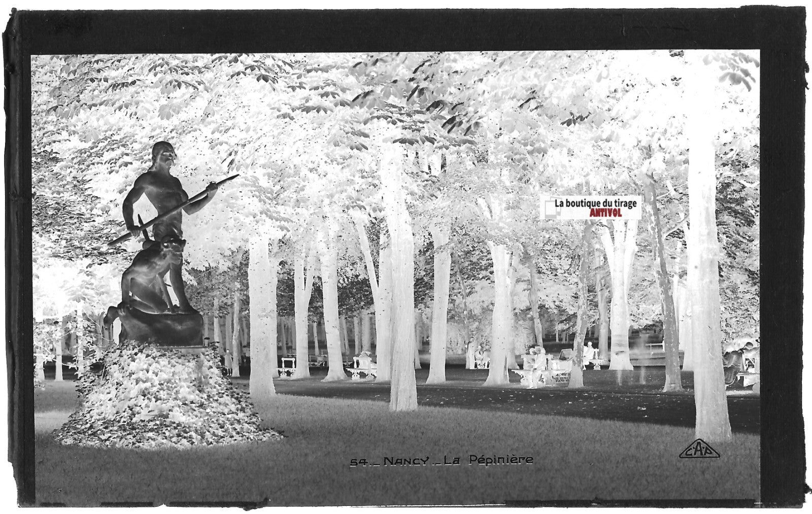 Plaque verre photo vintage, négatif noir & blanc 9x14 cm, Nancy, parc jardin