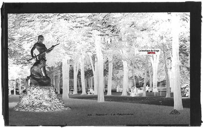 Plaque verre photo vintage, négatif noir & blanc 9x14 cm, Nancy, parc jardin